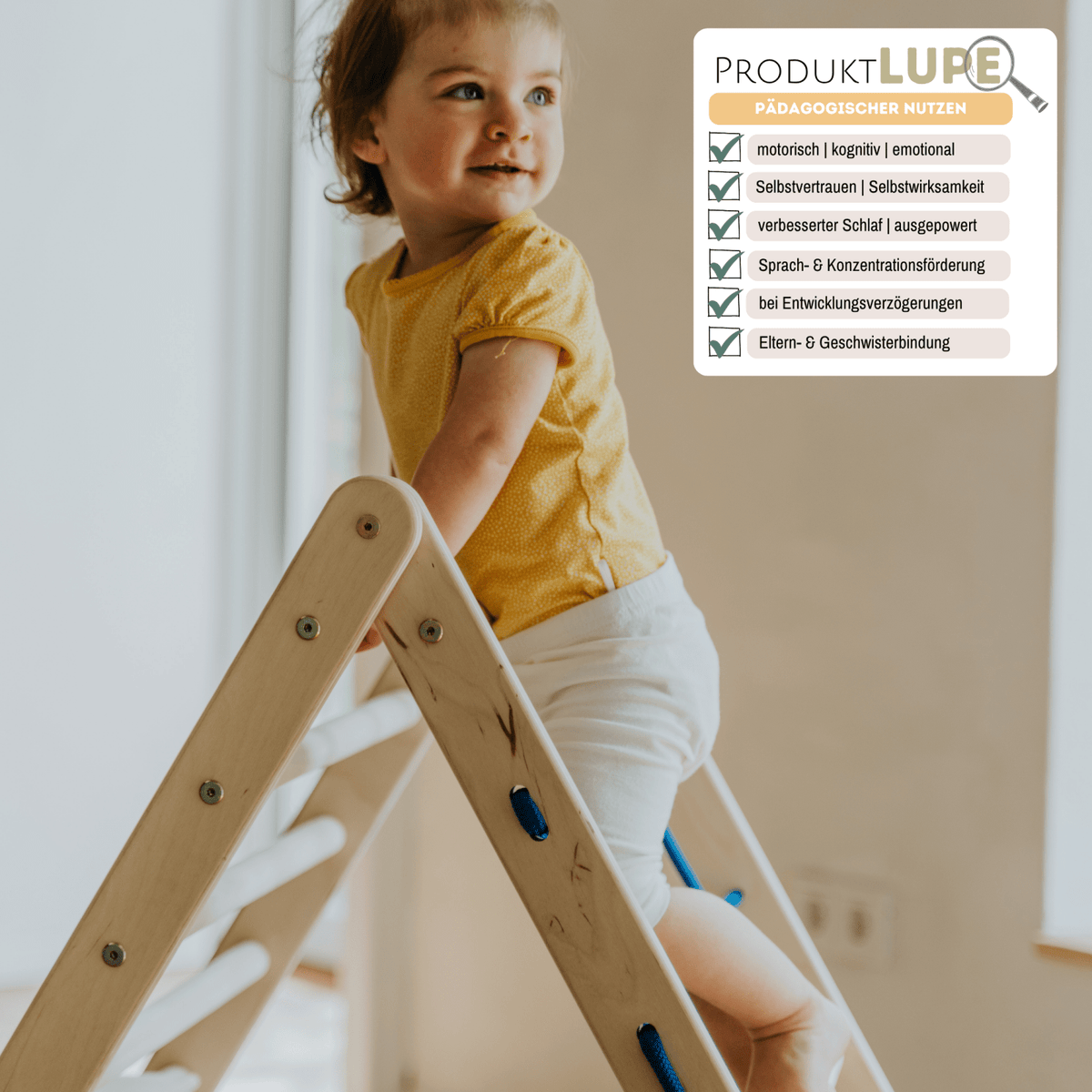 Kletterdreieck ORANG - UTAN UP | 3 - seitig | 87cm | mit Netz, Sprossen - und Kletterseite - Kletterling – einfach Kind sein