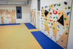Kletterwand BK INDOOR aus 8 Teilen | 236 cm x 312 cm | inkl. 60 Griffen | 160 Loch - Kletterling – einfach Kind sein