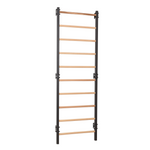 Metallische Sprossenwand STEEL 1 – Graphit mit Buchenholzsprossen | RINAGYM – Ansicht 10