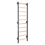 Metallische Sprossenwand STEEL 1 – Graphit mit Buchenholzsprossen | RINAGYM – Ansicht 13
