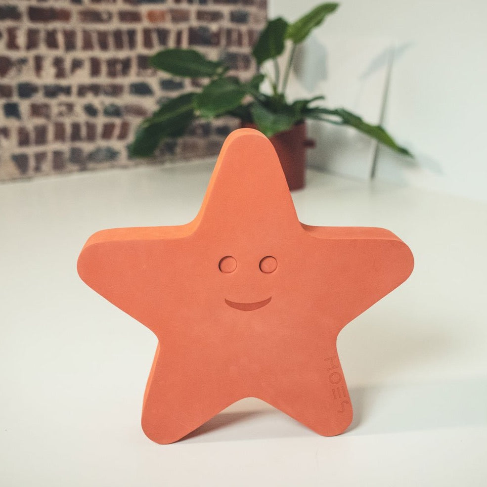 Balance-Tiere Sea Life Moes - Starfish